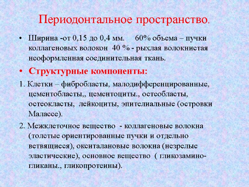 Периодонтальное пространство. Ширина -от 0,15 до 0,4 мм.     60% объема